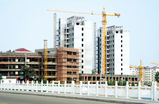 QTZ31.5(TC3508)tower crane